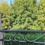 Bed and breakfast Al Sogno Di Laura Treviso