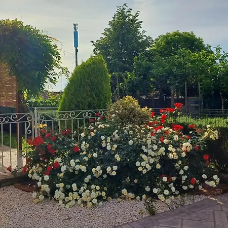 فندق مبيت وإفطار Al Sogno Di Laura 3*