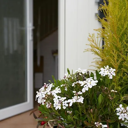 B&B Al Sogno Di Laura Bed & Breakfast