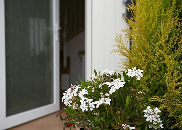 Al Sogno Di Laura Bed and breakfast