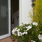 Al Sogno Di Laura Bed & Breakfast